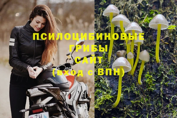 марки nbome Гусь-Хрустальный