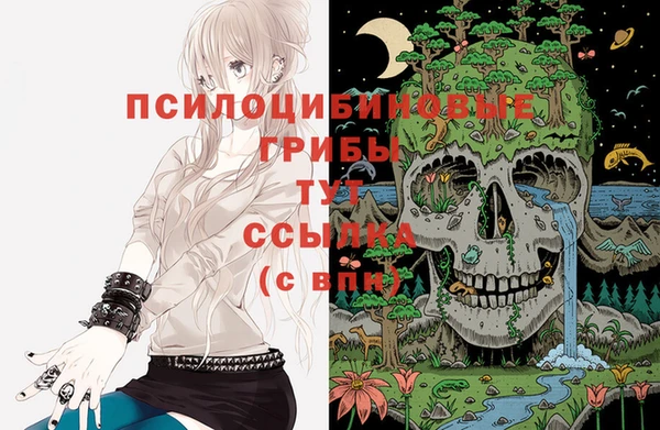 кокаин Гусев
